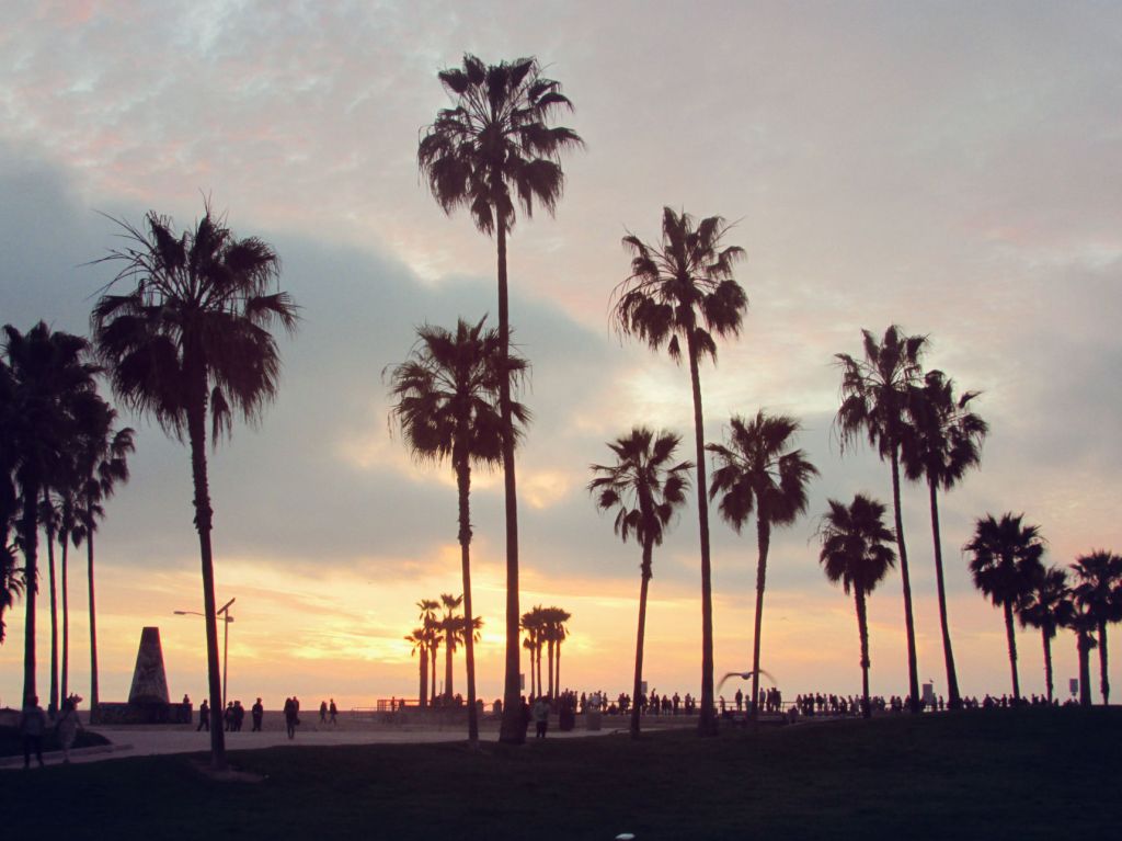 The Hidden Side of Hollywood: Reviewing Postcards From the Edge by Carrie&nbsp;Fisher